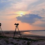 birding 2